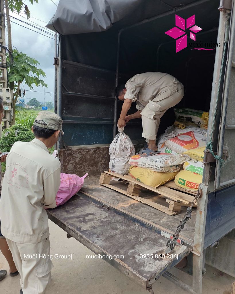 Thi công Onsen JjimJilBang Hàn Quốc