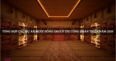 Nam 2020 Muoi Hong Group da thi cong va hoan thien nhung du an sau