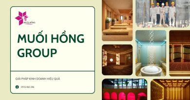 Thi công lắp đặt spa đá muối hồng ngoại